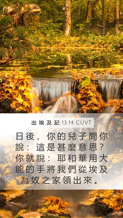 出 埃 及 記 13:14 CUVT Bible Verse Image