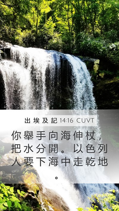 出 埃 及 記 14:16 CUVT Bible Verse Image