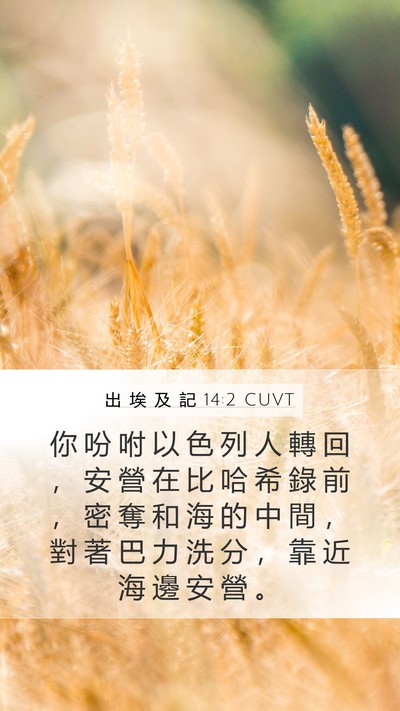 出 埃 及 記 14:2 CUVT Bible Verse Image