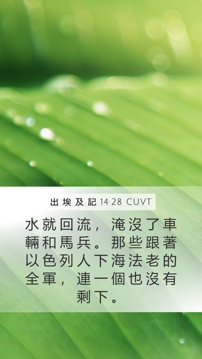 出 埃 及 記 14:28 CUVT Bible Verse Image