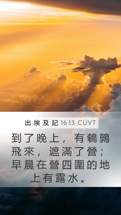 出 埃 及 記 16:13 CUVT Bible Verse Image