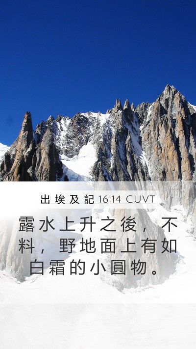 出 埃 及 記 16:14 CUVT Bible Verse Image
