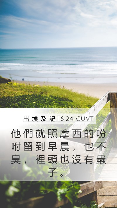 出 埃 及 記 16:24 CUVT Mobile Phone Wallpaper - 他 們 就 照 摩 西 的 吩 咐 留 到 早 - Mobile Bible Verse Wallpaper