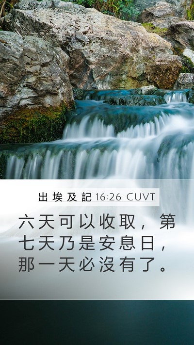 出 埃 及 記 16:26 CUVT Mobile Phone Wallpaper - 六 天 可 以 收 取 ， 第 七 天 乃 是 - Mobile Bible Verse Wallpaper