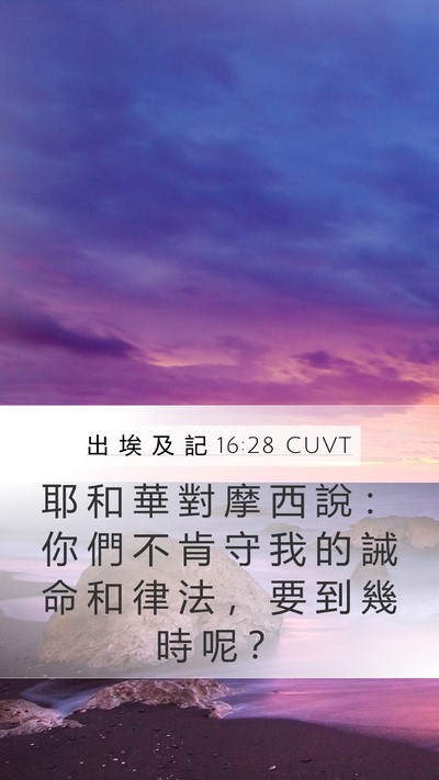 出 埃 及 記 16:28 CUVT Bible Verse Image