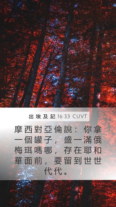 出 埃 及 記 16:33 CUVT Bible Verse Image