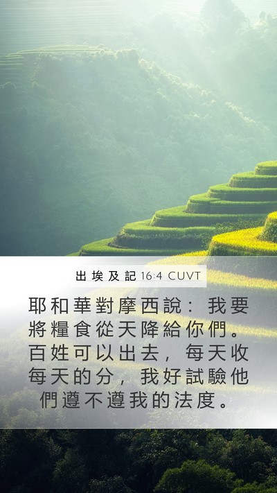 出 埃 及 記 16:4 CUVT Bible Verse Image
