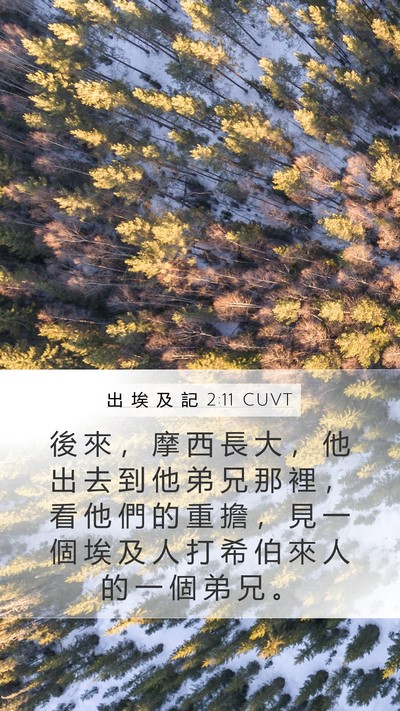 出 埃 及 記 2:11 CUVT Bible Verse Image