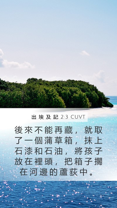 出 埃 及 記 2:3 CUVT Bible Verse Image