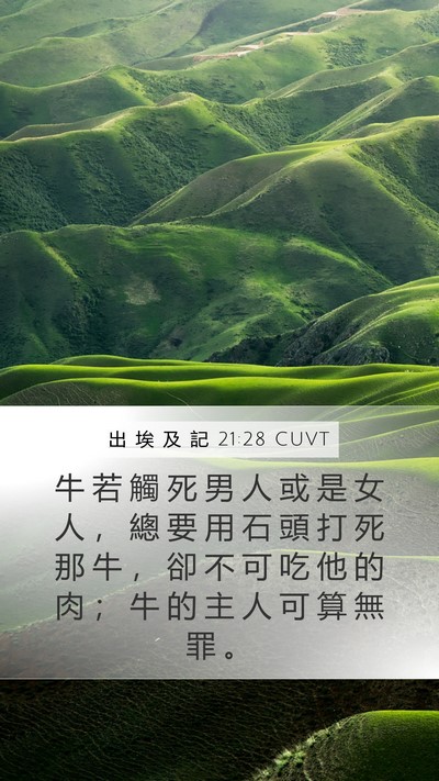 出 埃 及 記 21:28 CUVT Bible Verse Image