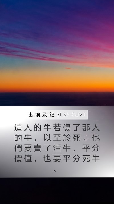 出 埃 及 記 21:35 CUVT Mobile Phone Wallpaper - 這 人 的 牛 若 傷 了 那 人 的 牛 ， - Mobile Bible Verse Wallpaper