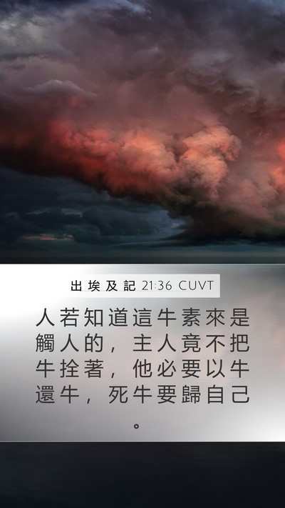 出 埃 及 記 21:36 CUVT Mobile Phone Wallpaper - 人 若 知 道 這 牛 素 來 是 觸 人 的 - Mobile Bible Verse Wallpaper