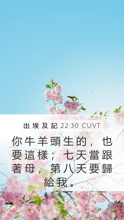 出 埃 及 記 22:30 CUVT Bible Verse Image