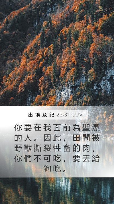 出 埃 及 記 22:31 CUVT Bible Verse Image
