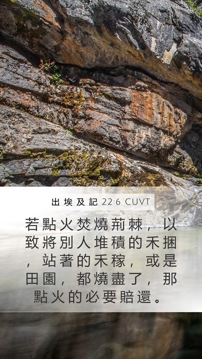 出 埃 及 記 22:6 CUVT Bible Verse Image