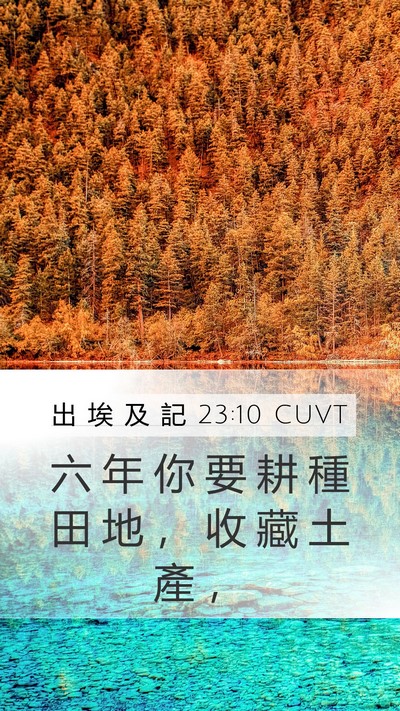 出 埃 及 記 23:10 CUVT Mobile Phone Wallpaper - 六 年 你 要 耕 種 田 地 ， 收 藏 土 - Mobile Bible Verse Wallpaper