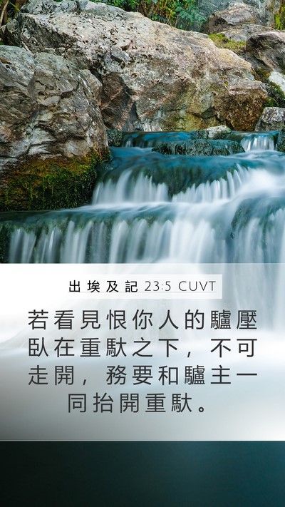 出 埃 及 記 23:5 CUVT Bible Verse Image