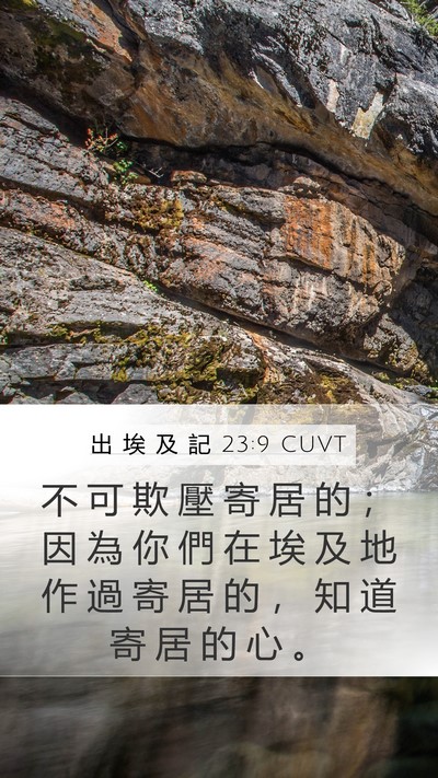 出 埃 及 記 23:9 CUVT Bible Verse Image