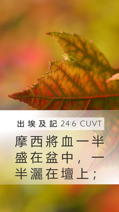 出 埃 及 記 24:6 CUVT Bible Verse Image