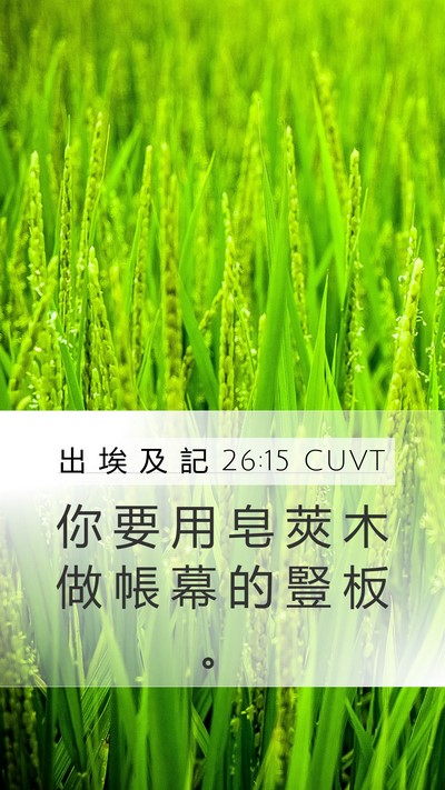 出 埃 及 記 26:15 CUVT Bible Verse Image