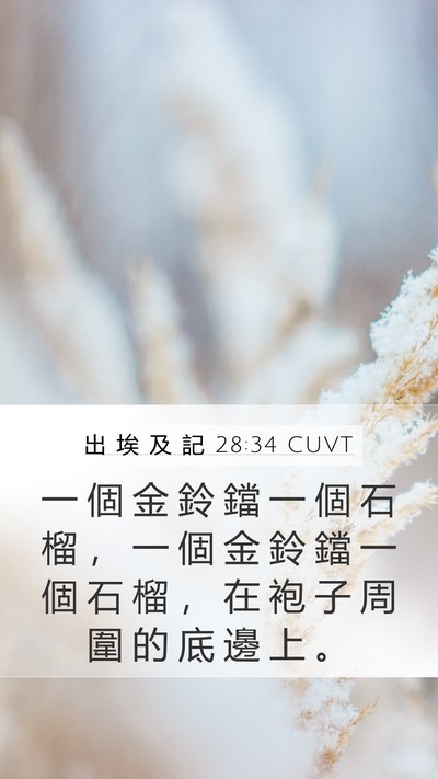 出 埃 及 記 28:34 CUVT Bible Verse Image