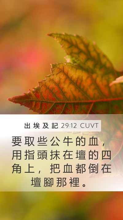 出 埃 及 記 29:12 CUVT Bible Verse Image
