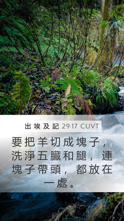 出 埃 及 記 29:17 CUVT Mobile Phone Wallpaper - 要 把 羊 切 成 塊 子 ， 洗 淨 五 臟 - Mobile Bible Verse Wallpaper