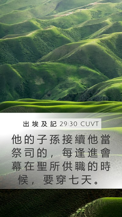 出 埃 及 記 29:30 CUVT Bible Verse Image
