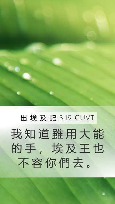 出 埃 及 記 3:19 CUVT Bible Verse Image