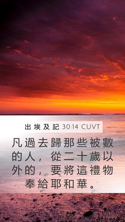 出 埃 及 記 30:14 CUVT Bible Verse Image