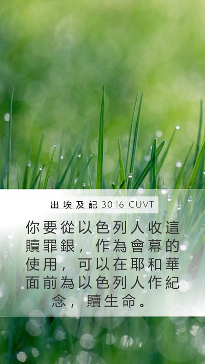 出 埃 及 記 30:16 CUVT Bible Verse Image