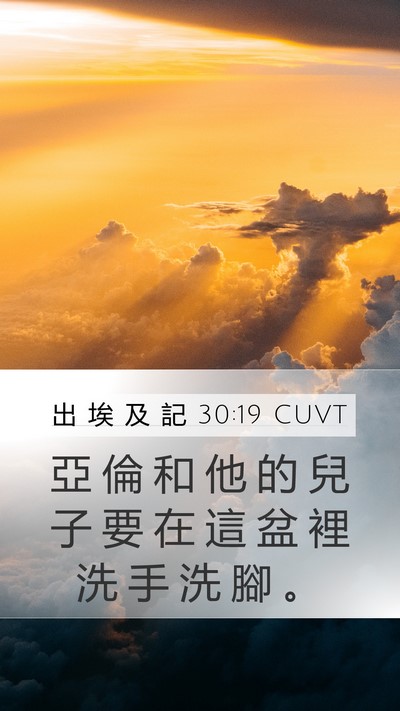 出 埃 及 記 30:19 CUVT Bible Verse Image
