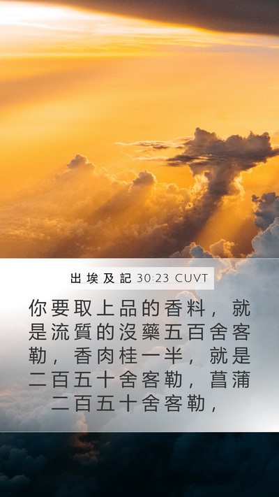 出 埃 及 記 30:23 CUVT Bible Verse Image
