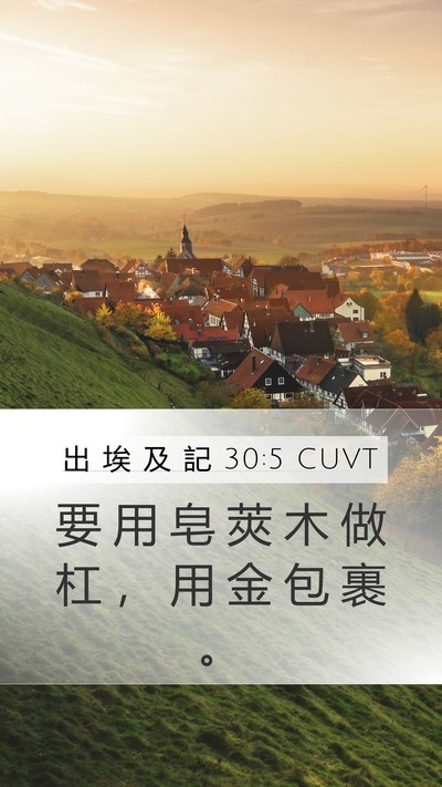 出 埃 及 記 30:5 CUVT Bible Verse Image