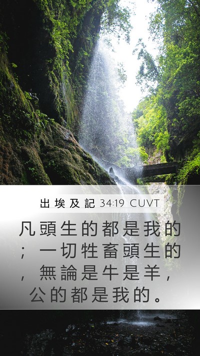 出 埃 及 記 34:19 CUVT Bible Verse Image