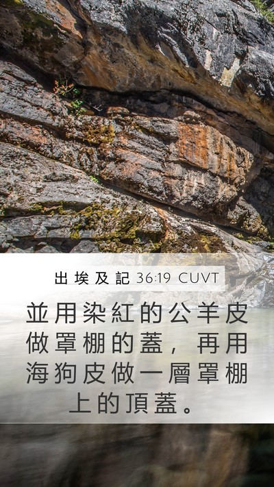 出 埃 及 記 36:19 CUVT Bible Verse Image