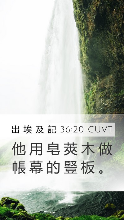 出 埃 及 記 36:20 CUVT Bible Verse Image