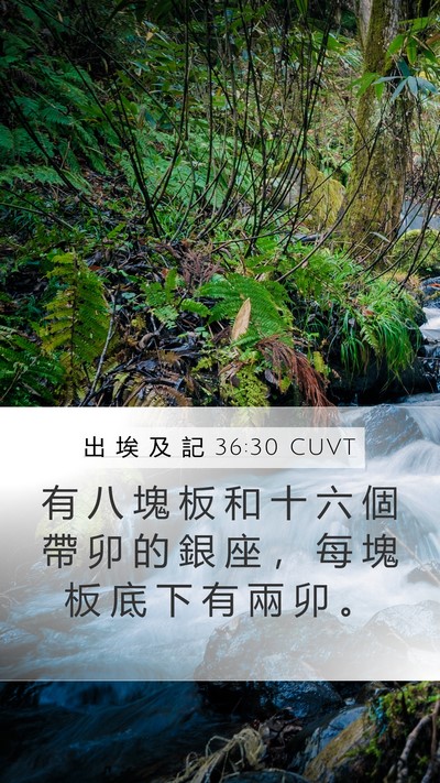 出 埃 及 記 36:30 CUVT Mobile Phone Wallpaper - 有 八 塊 板 和 十 六 個 帶 卯 的 銀 - Mobile Bible Verse Wallpaper