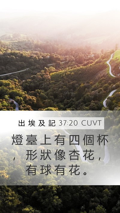 出 埃 及 記 37:20 CUVT Bible Verse Image