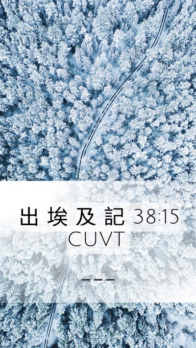 出 埃 及 記 38:15 CUVT Mobile Phone Wallpaper -  - Mobile Bible Verse Wallpaper