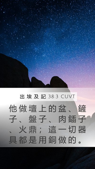 出 埃 及 記 38:3 CUVT Bible Verse Image