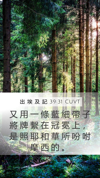 出 埃 及 記 39:31 CUVT Mobile Phone Wallpaper - 又 用 一 條 藍 細 帶 子 將 牌 繫 在 - Mobile Bible Verse Wallpaper