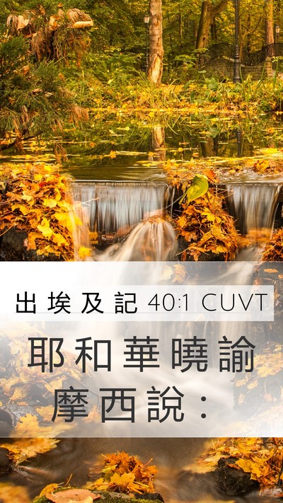 出 埃 及 記 40:1 CUVT Mobile Phone Wallpaper - 耶 和 華 曉 諭 摩 西 說 - Mobile Bible Verse Wallpaper