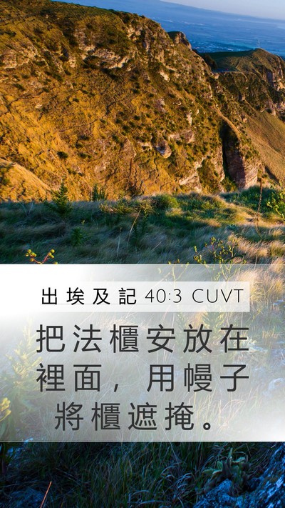 出 埃 及 記 40:3 CUVT Bible Verse Image
