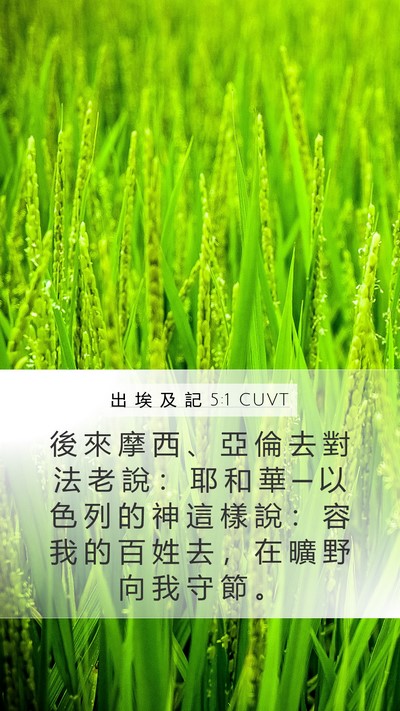出 埃 及 記 5:1 CUVT Bible Verse Image