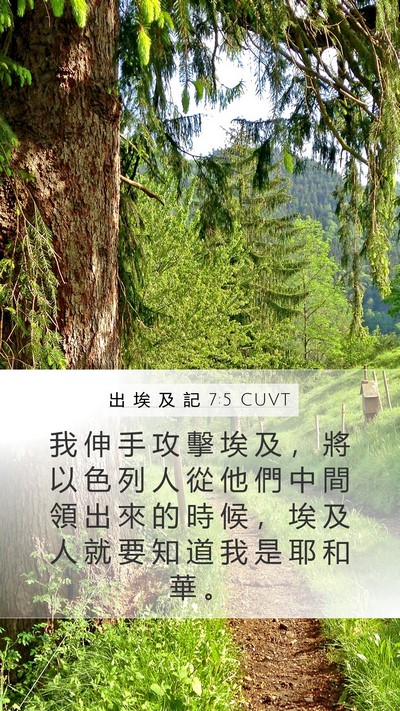 出 埃 及 記 7:5 CUVT Bible Verse Image