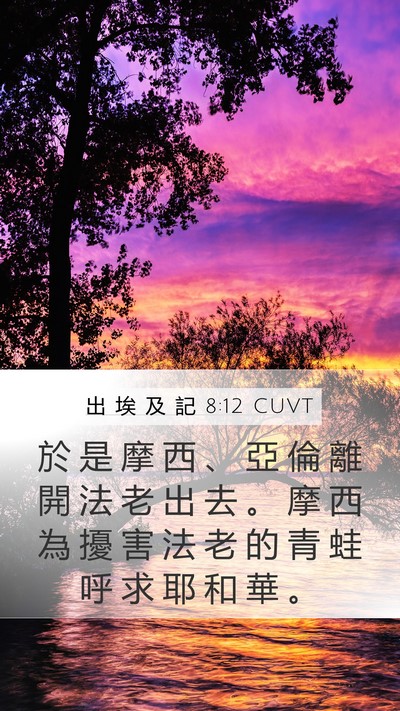 出 埃 及 記 8:12 CUVT Mobile Phone Wallpaper - 於 是 摩 西 、 亞 倫 離 開 法 老 出 - Mobile Bible Verse Wallpaper