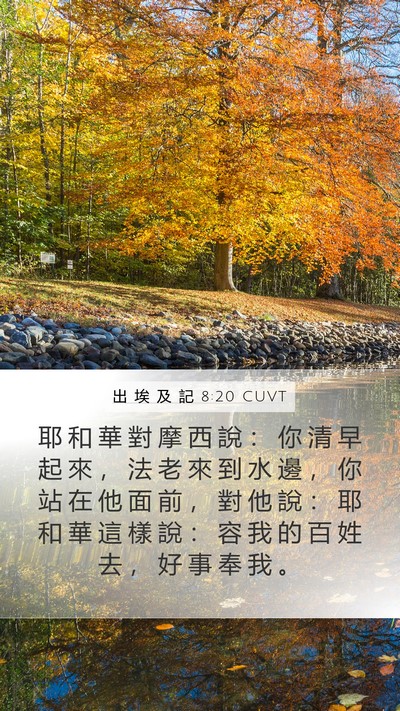 出 埃 及 記 8:20 CUVT Bible Verse Image