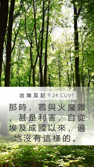 出 埃 及 記 9:24 CUVT Bible Verse Image