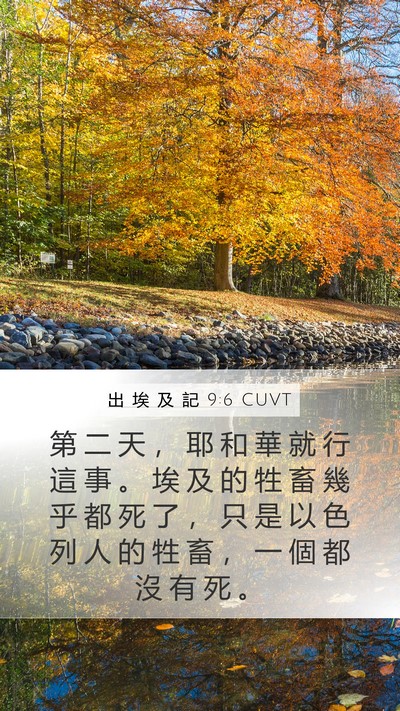 出 埃 及 記 9:6 CUVT Bible Verse Image